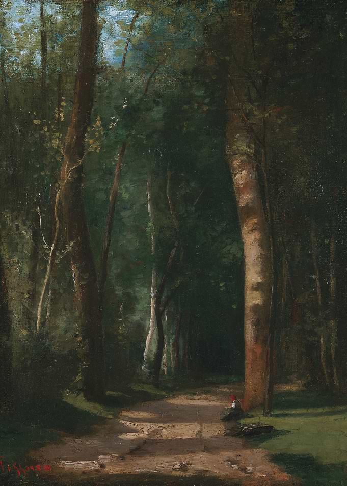 Path through a sun-dappled forest