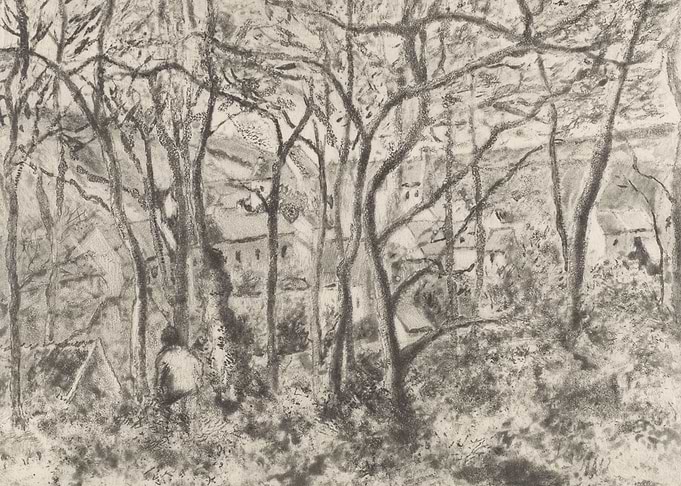 Person in a Forest Landscape