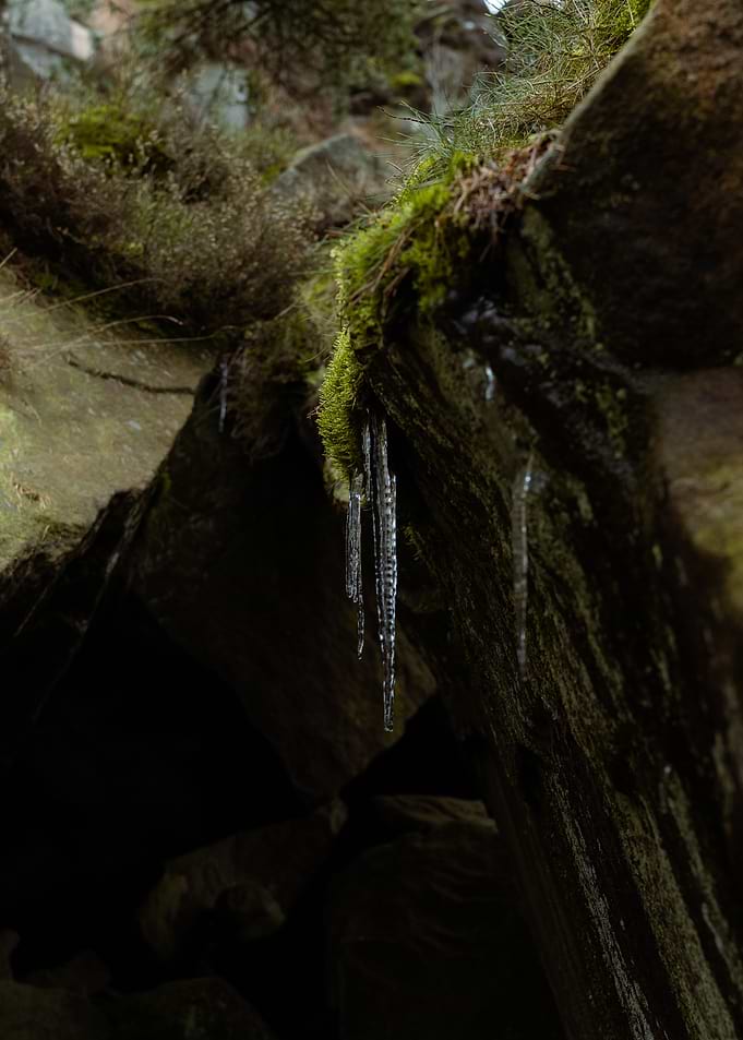 Icicles on Mossy Rocks, shot in the Roaches, Peak District.