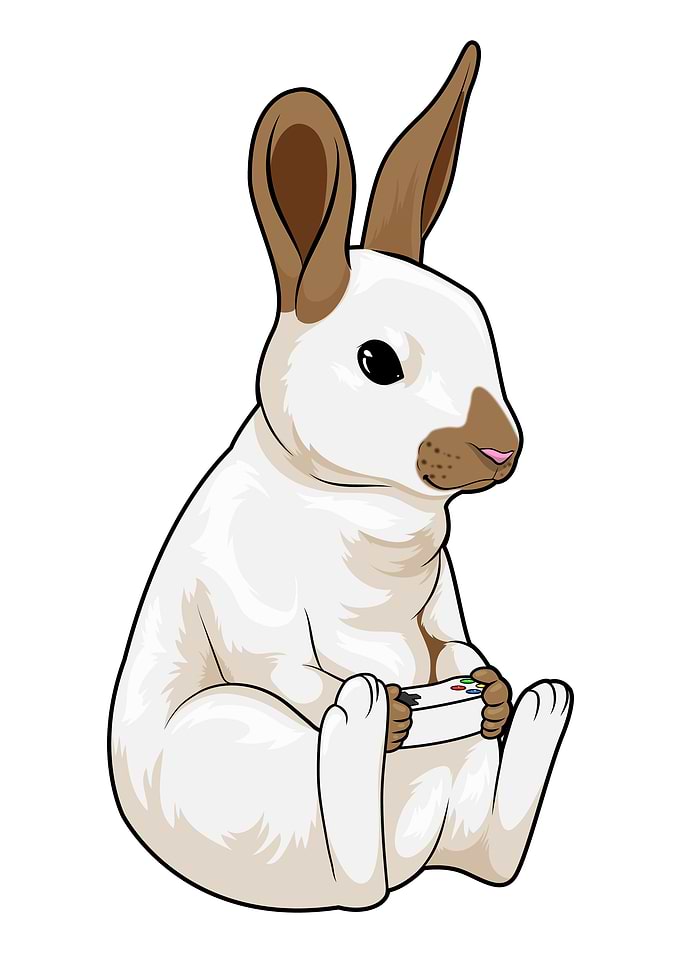 Rabbit Gamer Controller