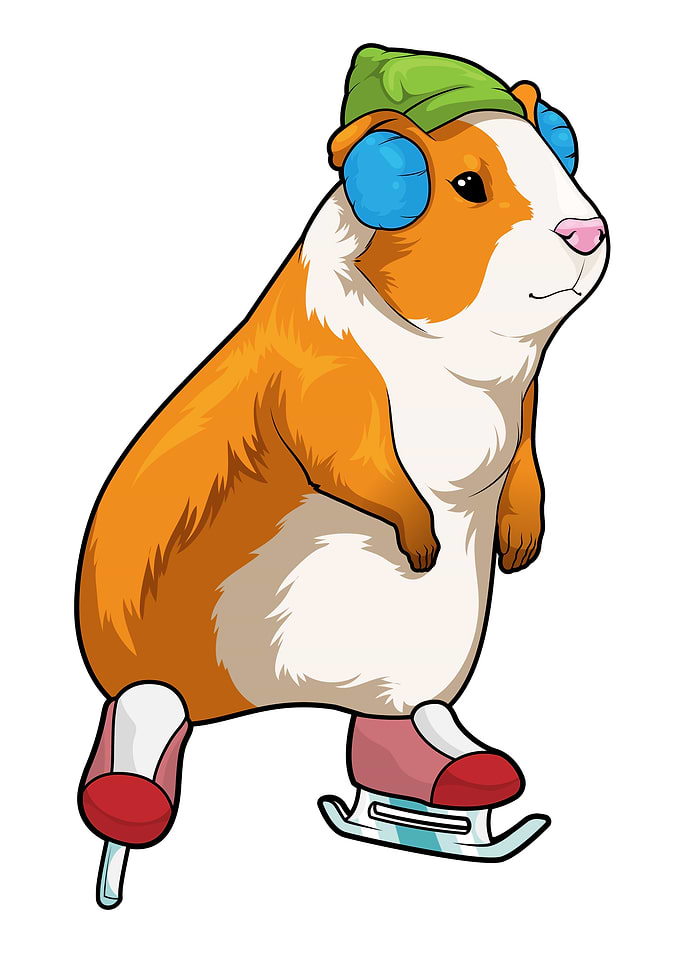 Guinea pig Ice skating Ice skates