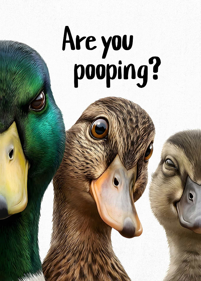 Funny Three Ducks Bathroom