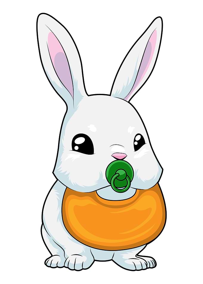 Baby Rabbit Pacifier Bib