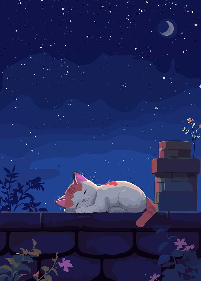 Cat Sleeping on a Wall Under the Stars