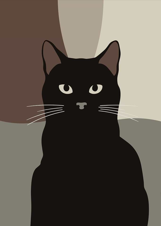 Minimalist Black Cat Portrait
