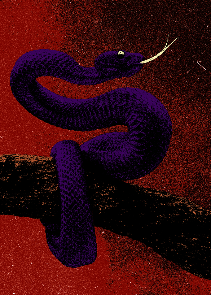 Grunge Purple Viper