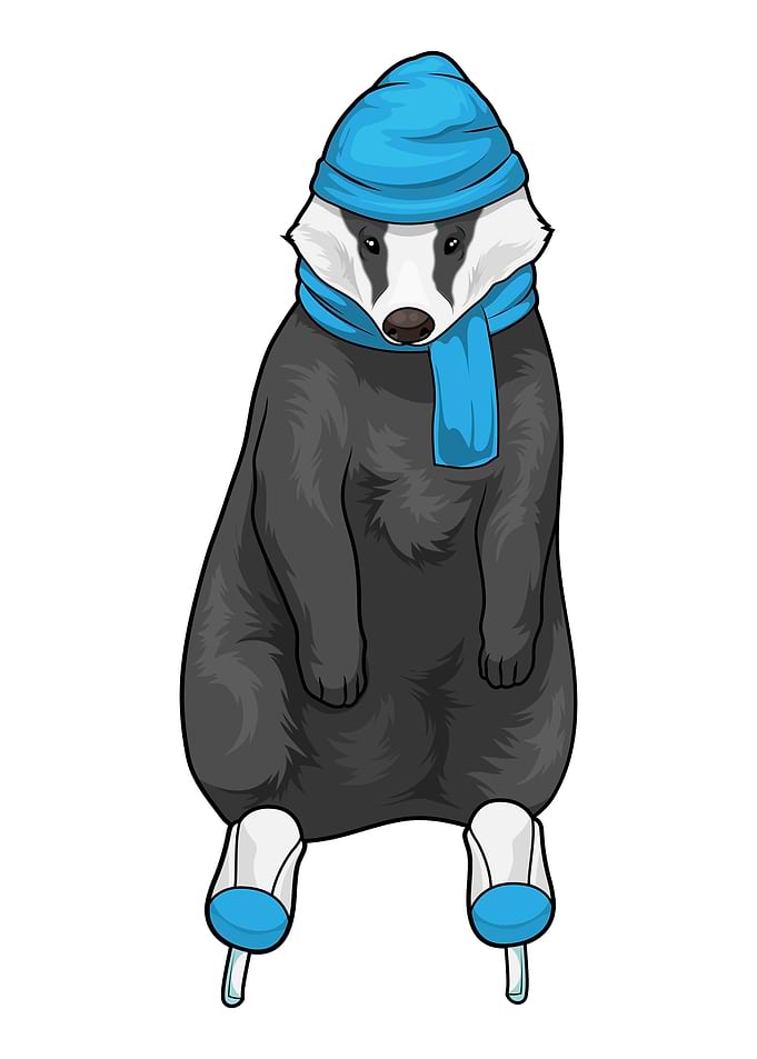 Badger Ice skating Ice skates