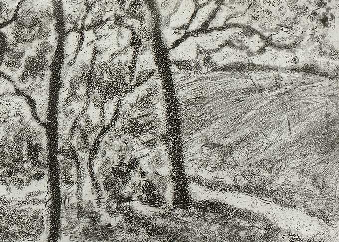 Landscape Panorama Part 3