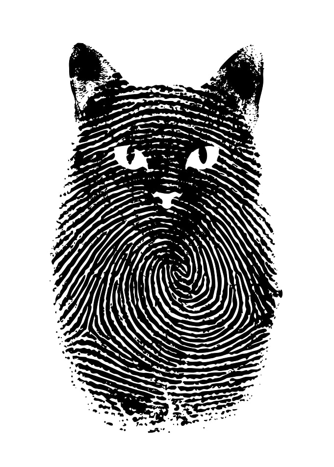 Black Cat Fingerprint Art