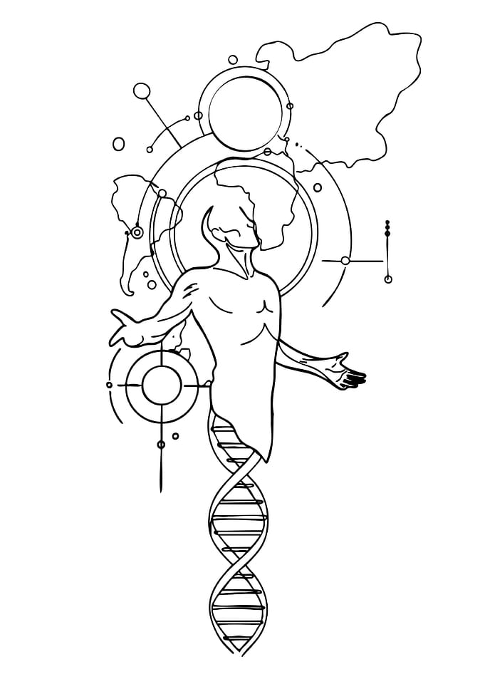 Human DNA and Cosmic Connections