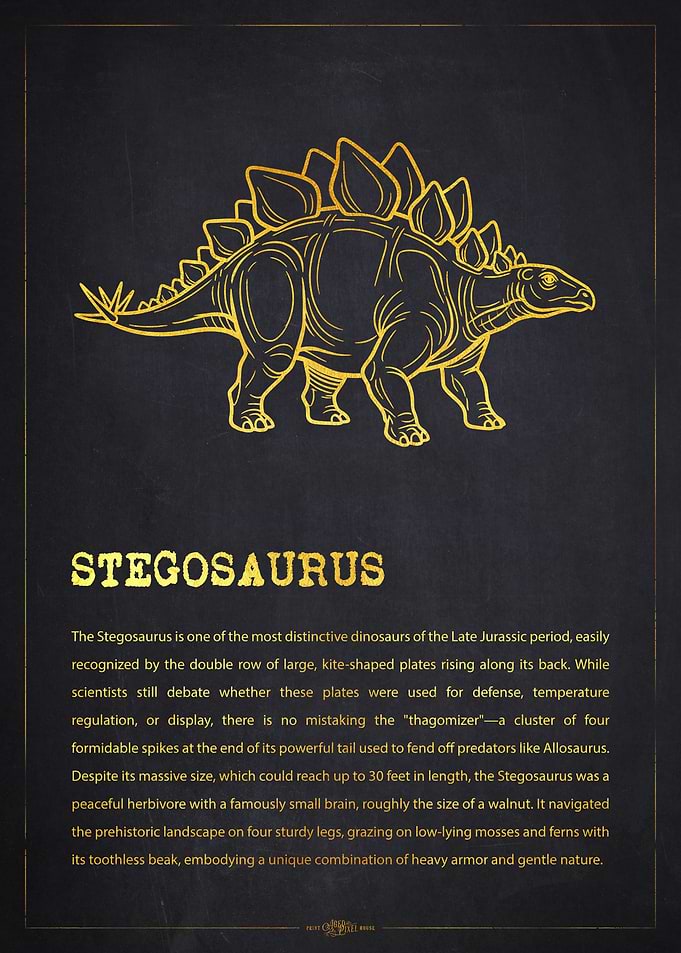 Stegosaurus Dinosaur