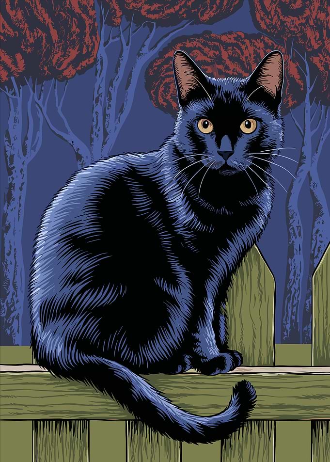 Black Cat on a Fence