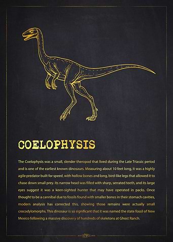 Coelophysis Dinosaur