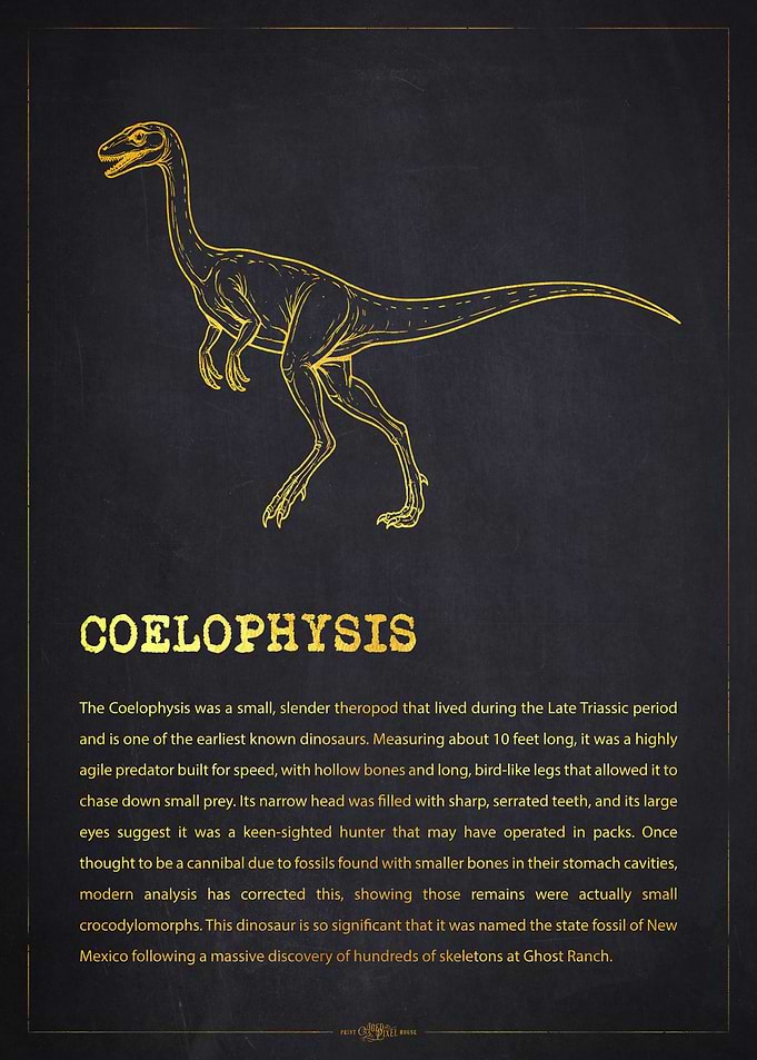 Coelophysis Dinosaur