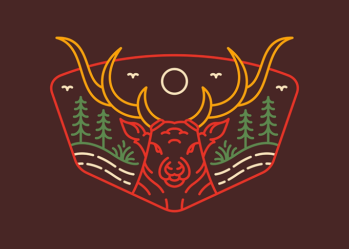 Deer in the Wilderness