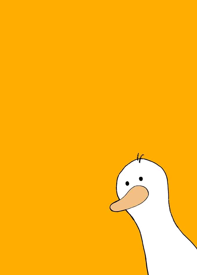 Cute Duck Peeking Out
