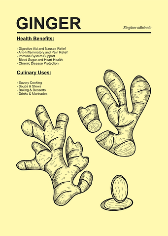 Ginger Herb Poster