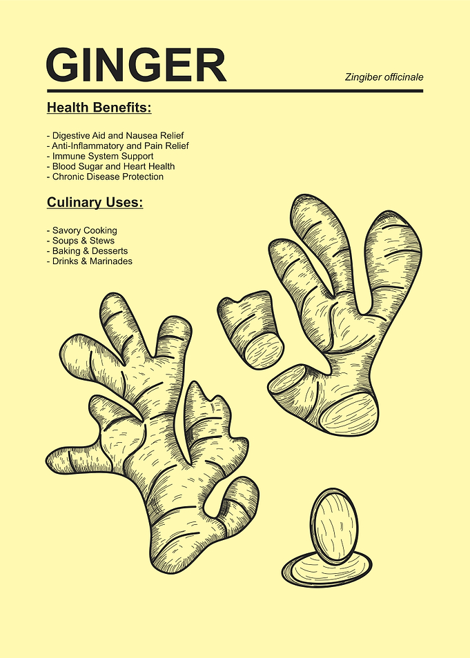 Ginger Herb Poster