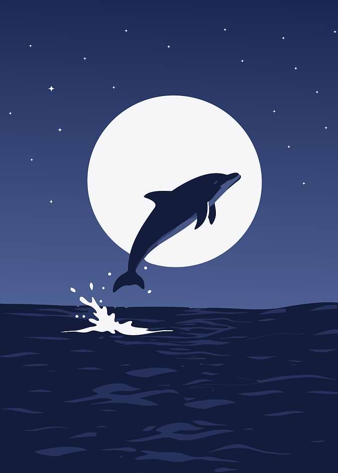 Dolphin Under the Moon