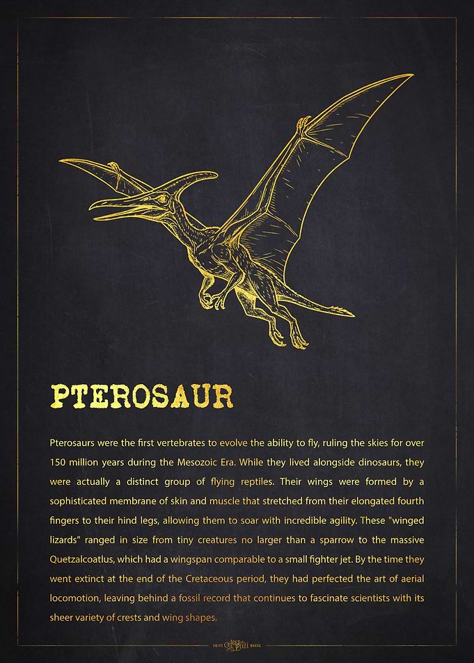 Pterosaur Dinosaur