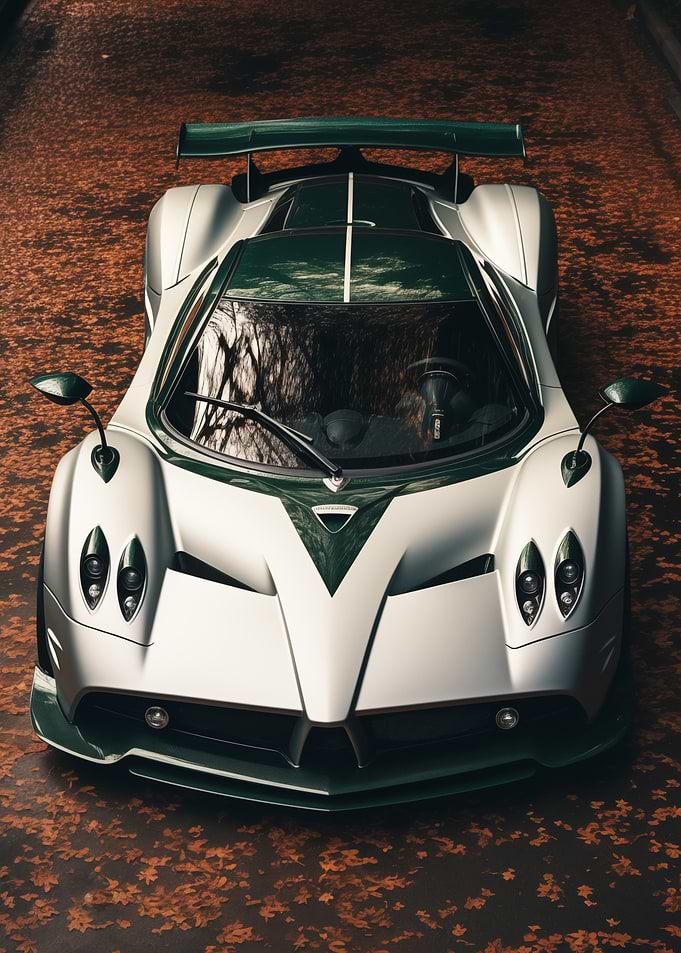 Pagani in Autumn Leaves
