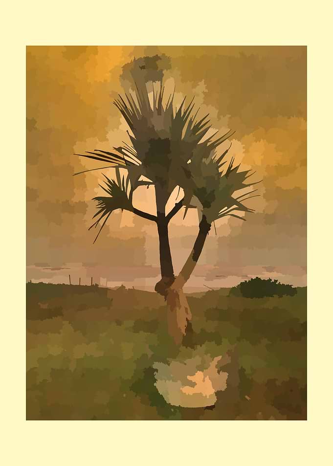 Stylized Tree in a Field