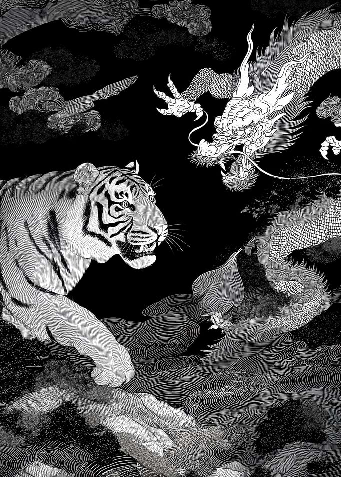 Tiger and Dragon Confrontation