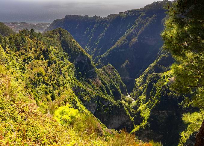 Lush Green Mountain Valley Overlooking Ocean