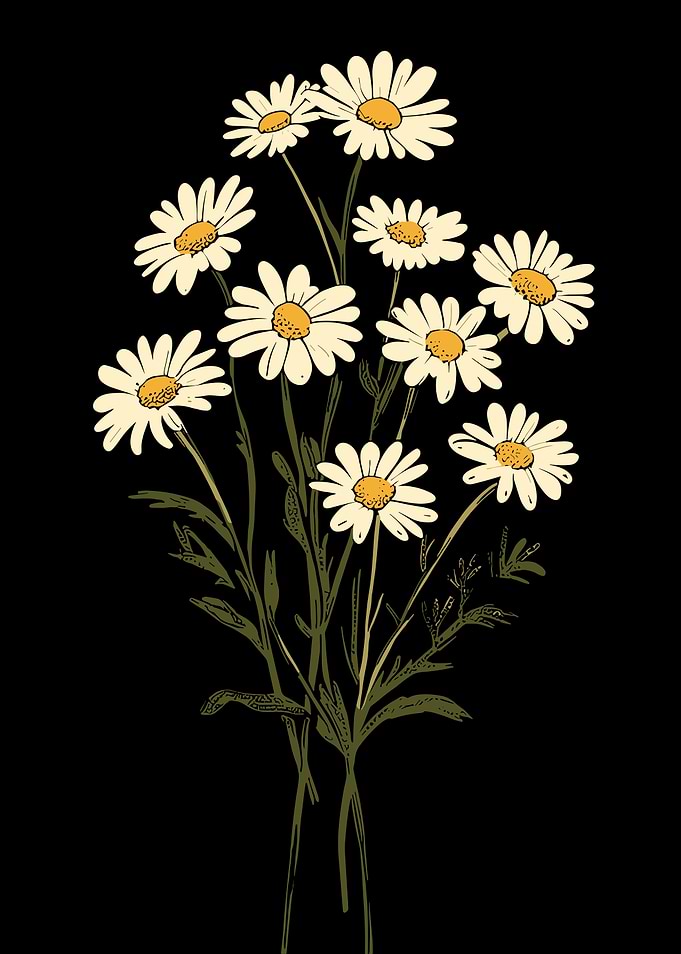 Bouquet of Daisies