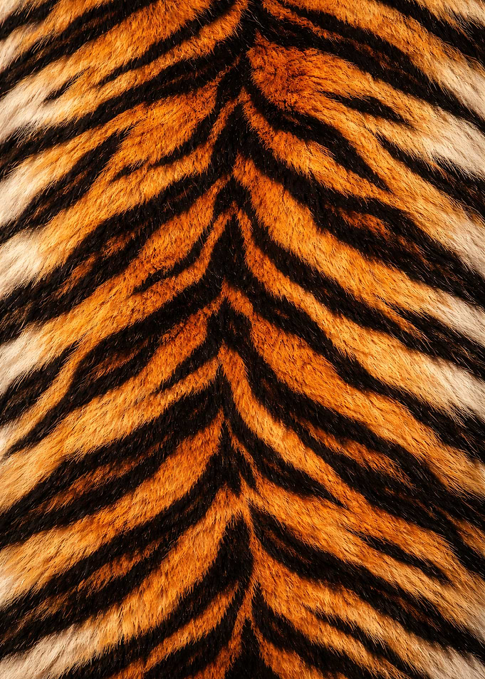 Tiger Fur Pattern print