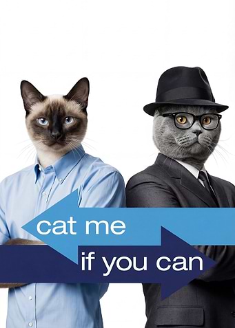 Catch Me If You Can Cat Parody Movie Poster