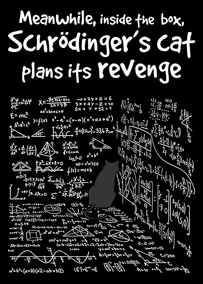 Schrödinger’s Cat Poster, Funny Quantum Physics Wall Art, Nerd Science Humor Print