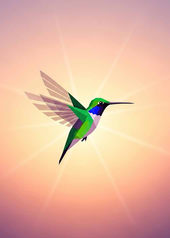 Geometric Hummingbird in Flight
