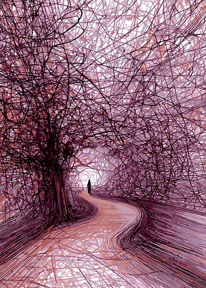 Person walking on a winding path