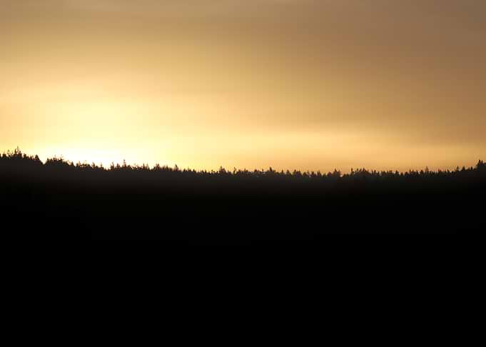 Sunset over a dark forest silhouette
