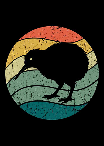 Retro Kiwi Bird Sunset Circle