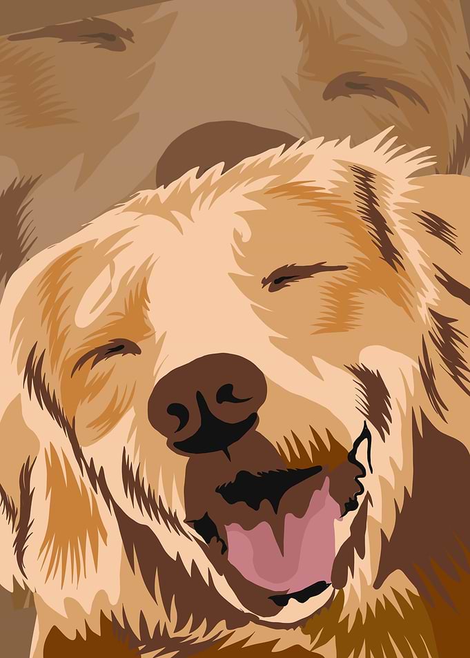 Happy Golden Retriever Dog