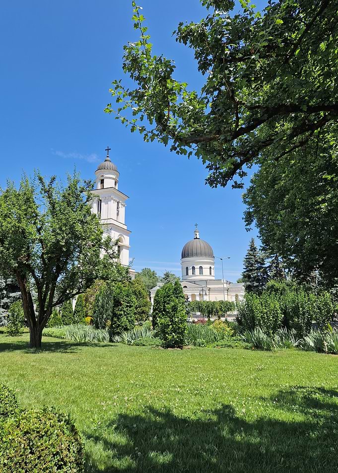 Church bell tower and dome with trees