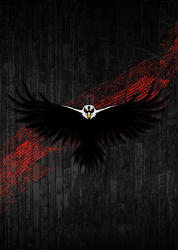 Black Eagle with Red Streaks