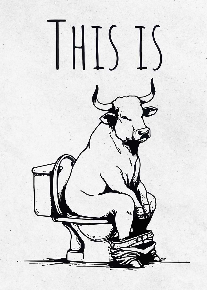 Bull Sitting on Toilet