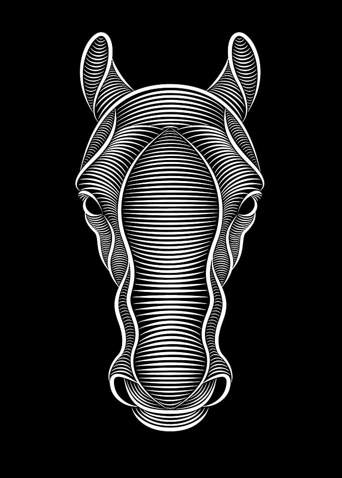 Stylized Horse Head Illustration