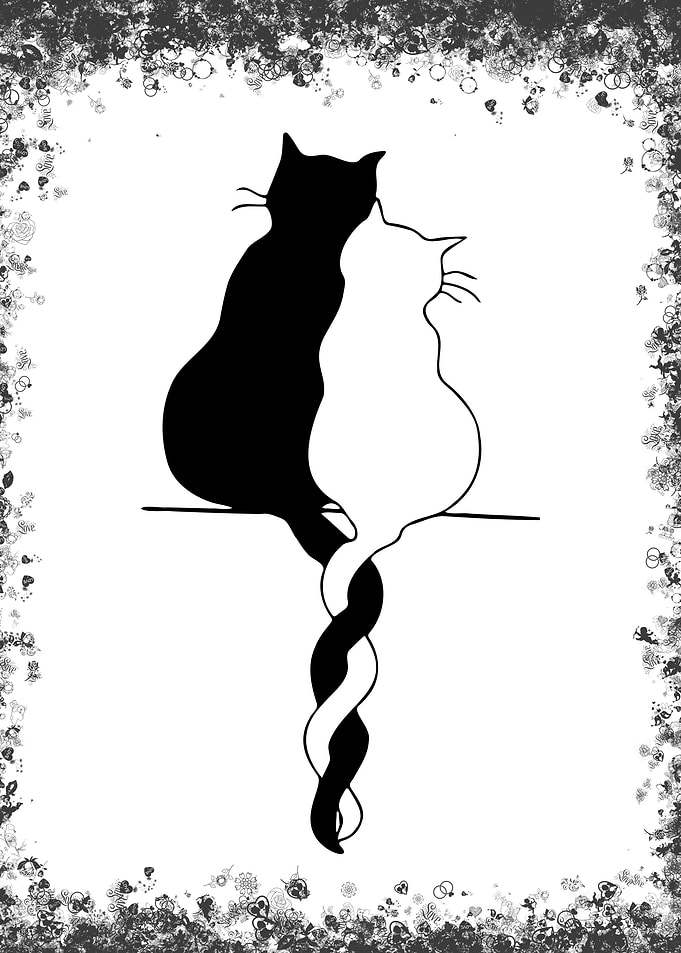 Two Cats with Intertwined Tails