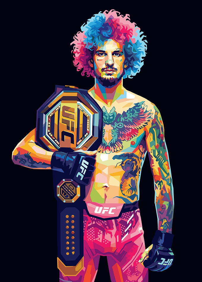 Sean O'Malley UFC Champion Pop Art