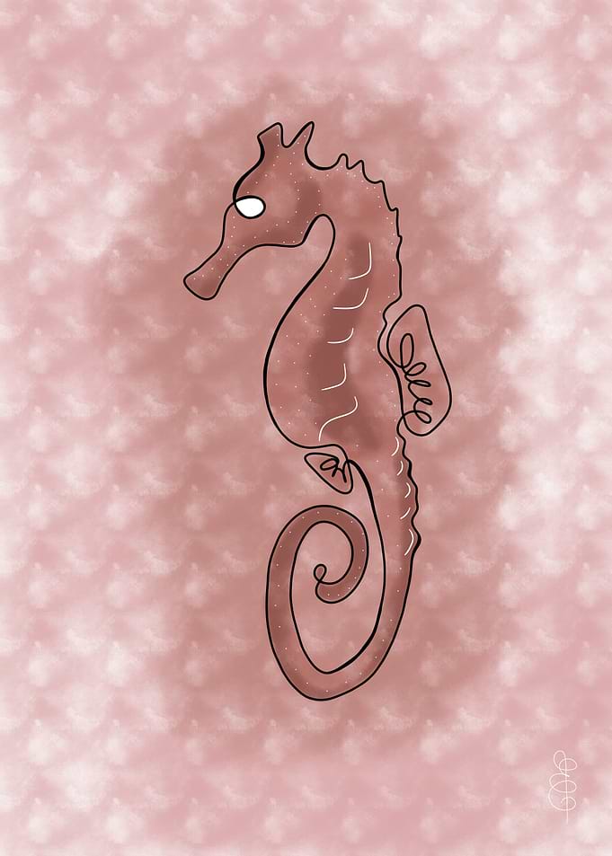 Seahorse Illustration on Pink Background
