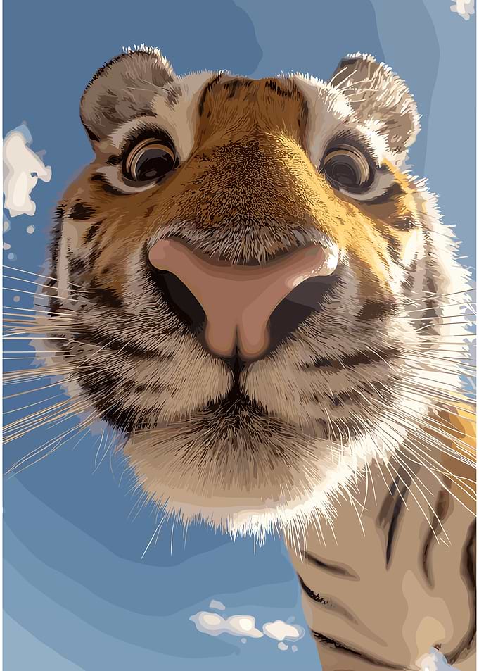 Close-up Tiger Face