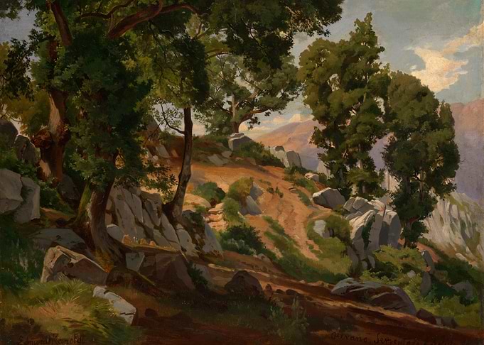 Mountain Path with Trees and Rocks