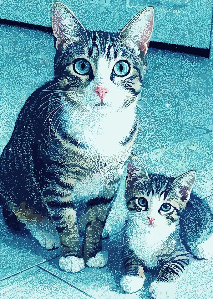 Two Cats Looking Up