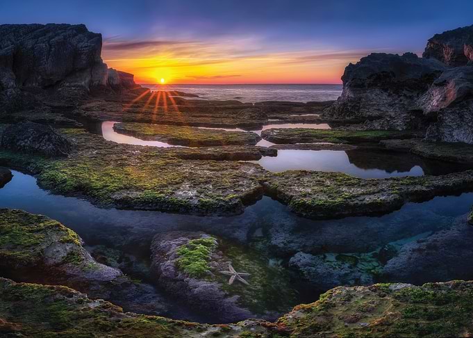 Starfish in Tide Pool at Sunset