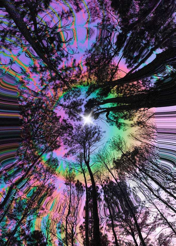 Psychedelic Sky Through Trees