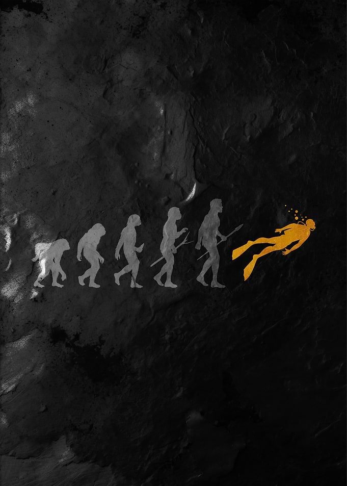Evolution of Diving
